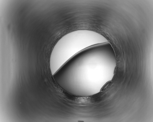 X0000094370089200711020802