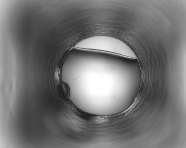 X0000094370094200711020802