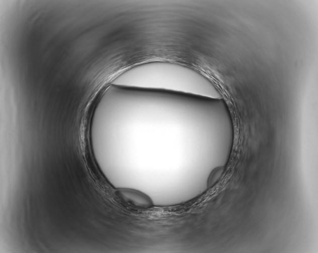 X0000094370098200711020801