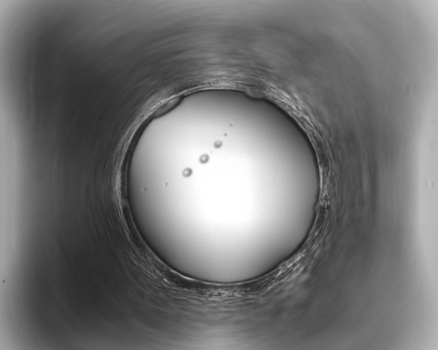 X0000094370099200711020801