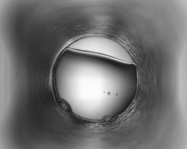 X0000094370100200711020801