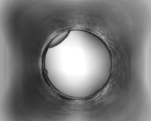 X0000094370102200711020801