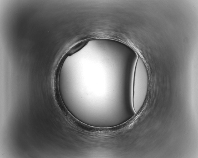 X0000094370103200711020801
