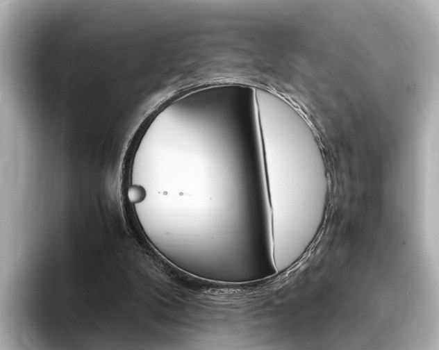 X0000094370104200711020801