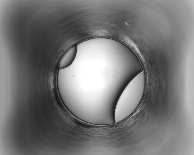 X0000094370106200711020801