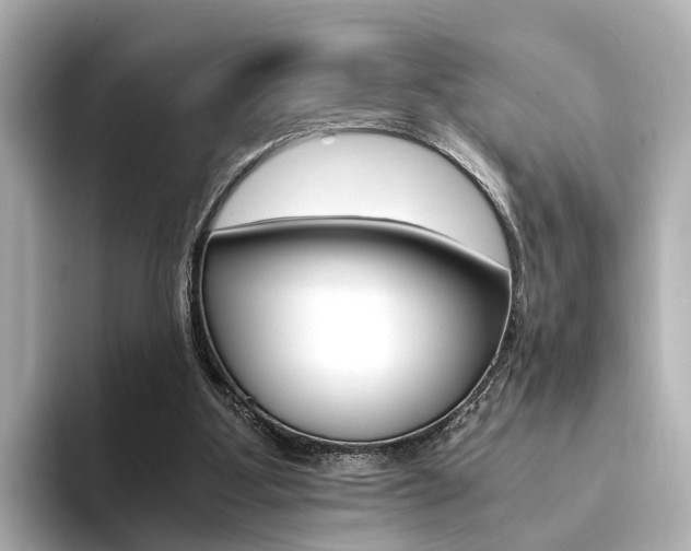 X0000094370107200711020801