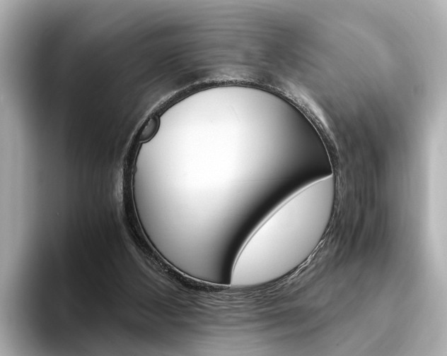 X0000094370108200711020801