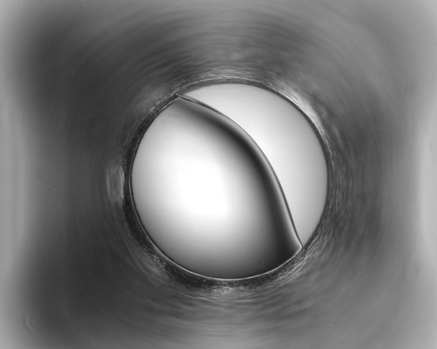 X0000094370109200711020801