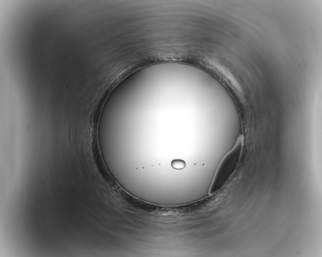 X0000094370113200711020801