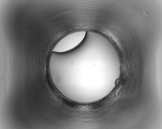 X0000094370115200711020801