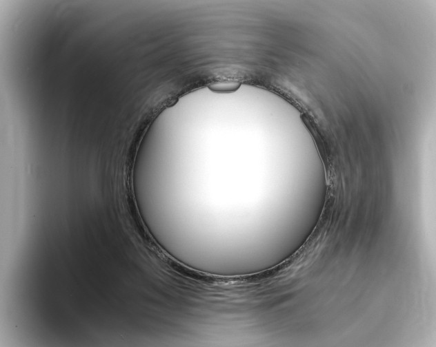 X0000094370117200711020801