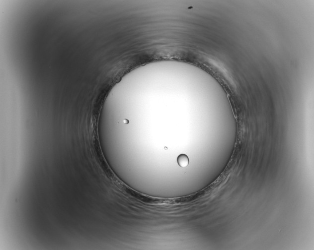 X0000094370121200711020801