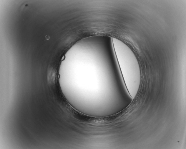 X0000094370123200711020801