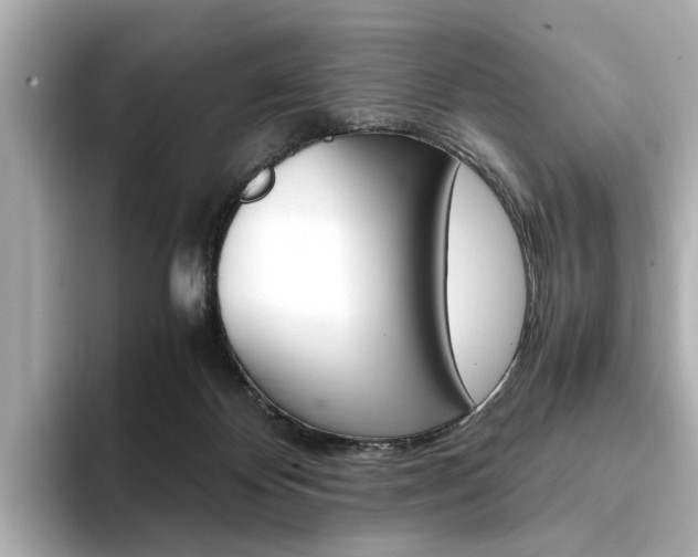 X0000094370124200711020801