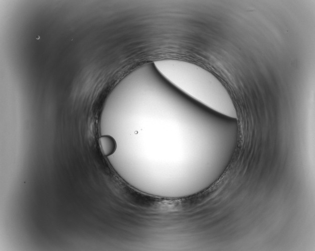 X0000094370126200711020801