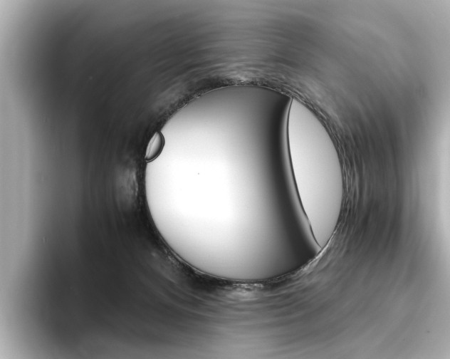 X0000094370128200711020801