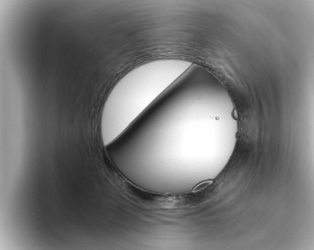 X0000094370131200711020801