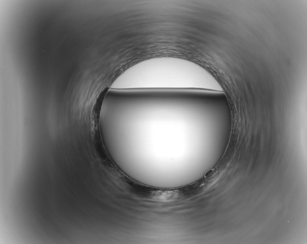 X0000094370135200711020801