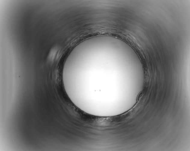 X0000094370136200711020801
