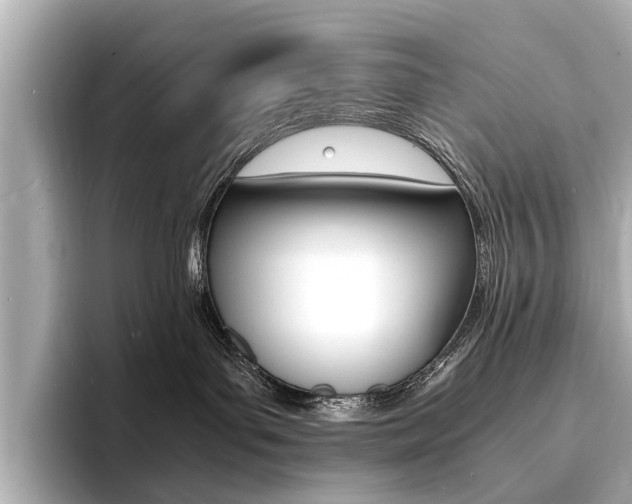 X0000094370143200711020801