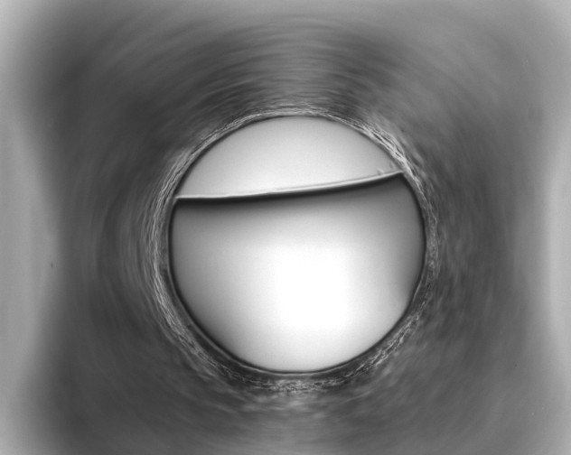 X0000094370145200711020800
