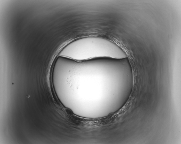 X0000094370147200711020800