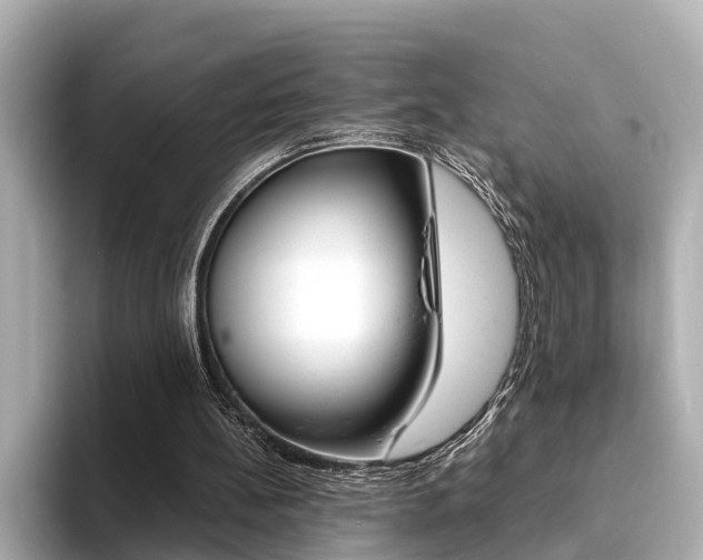 X0000094370148200711020800