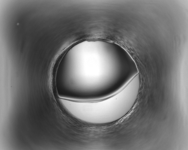 X0000094370150200711020800