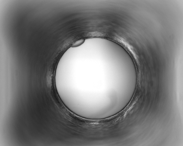 X0000094370153200711020800