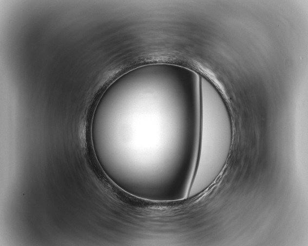 X0000094370154200711020800