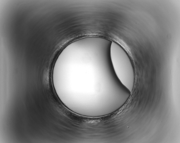 X0000094370155200711020800