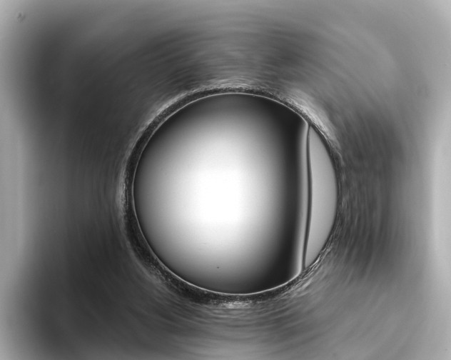 X0000094370156200711020800