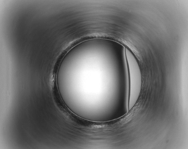 X0000094370160200711020800