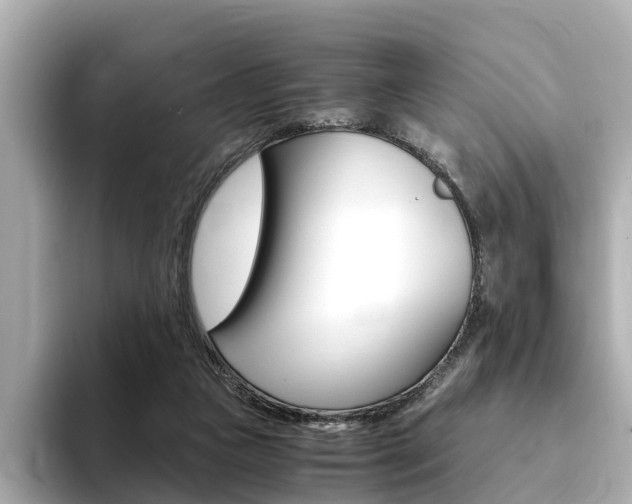 X0000094370161200711020800