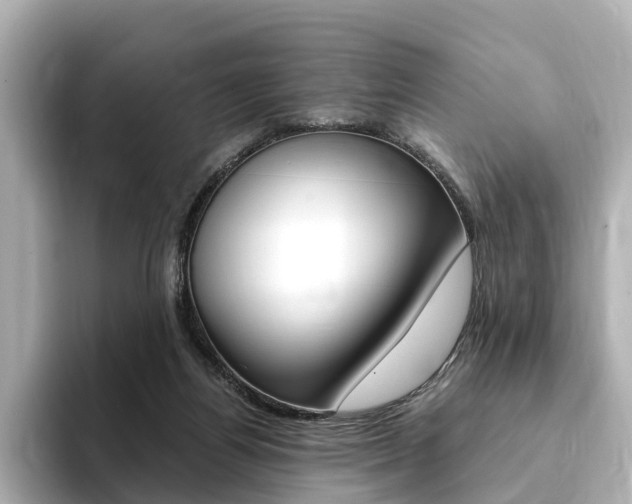 X0000094370164200711020800