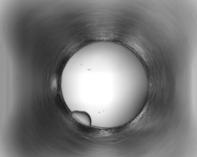 X0000094370166200711020800