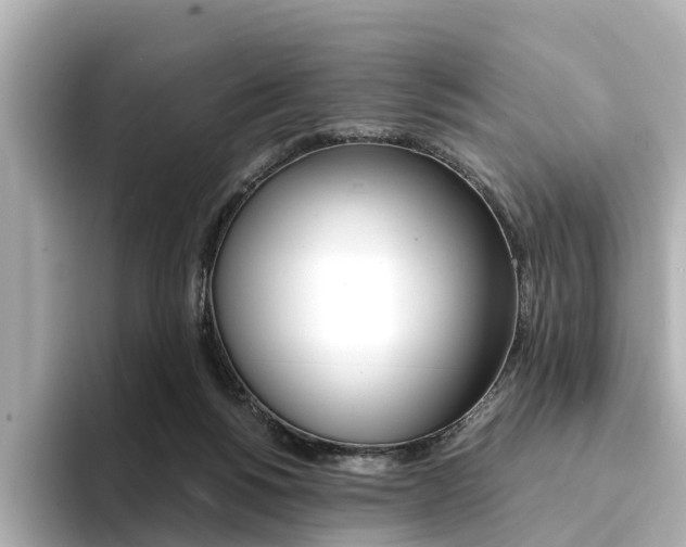 X0000094370168200711020800