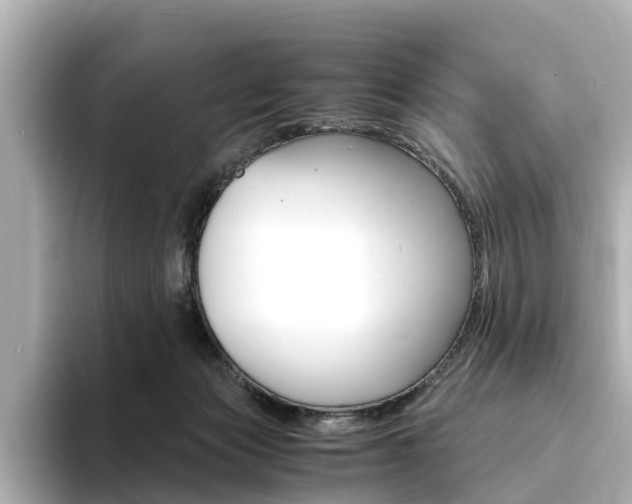 X0000094370173200711020800