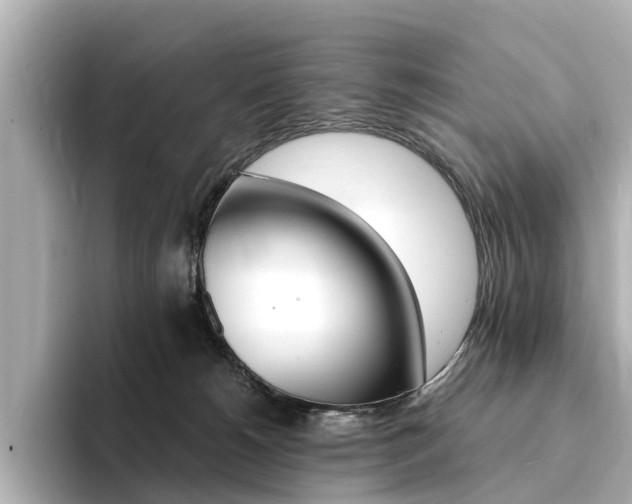 X0000094370180200711020801
