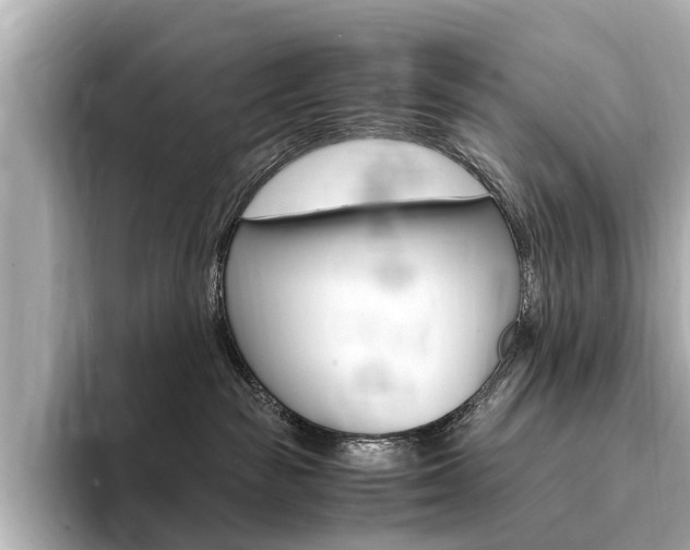 X0000094370189200711020801