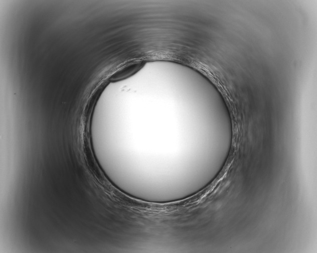 X0000094370194200711020800