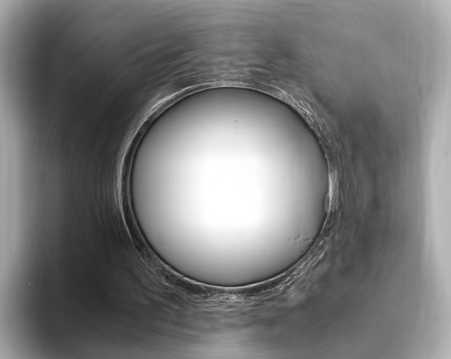 X0000094370195200711020800