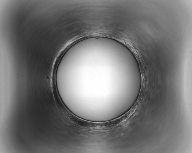 X0000094370196200711020800