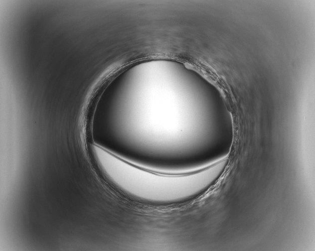 X0000094370197200711020800