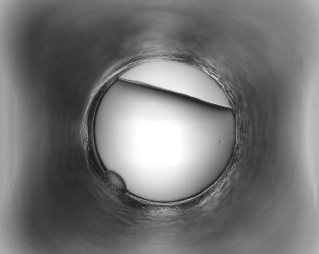 X0000094370198200711020800