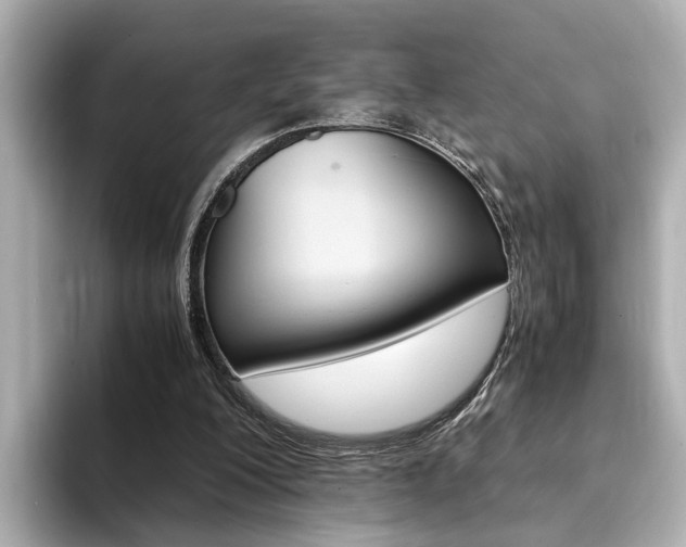 X0000094370200200711020800