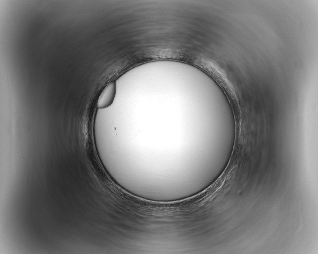 X0000094370202200711020800