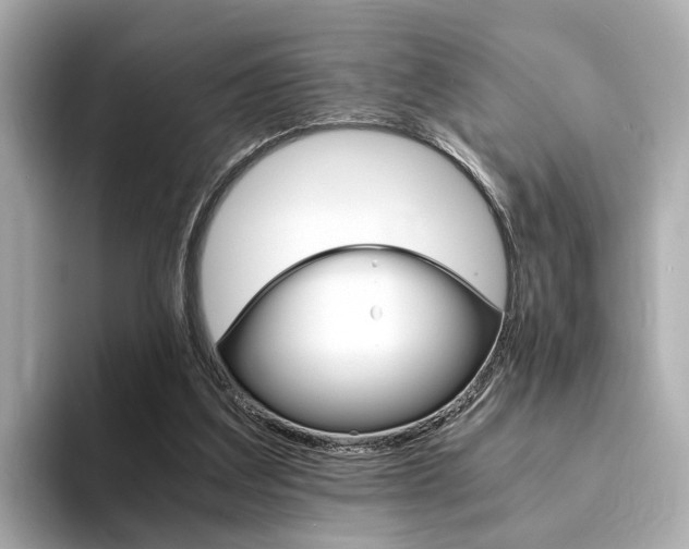X0000094370203200711020800