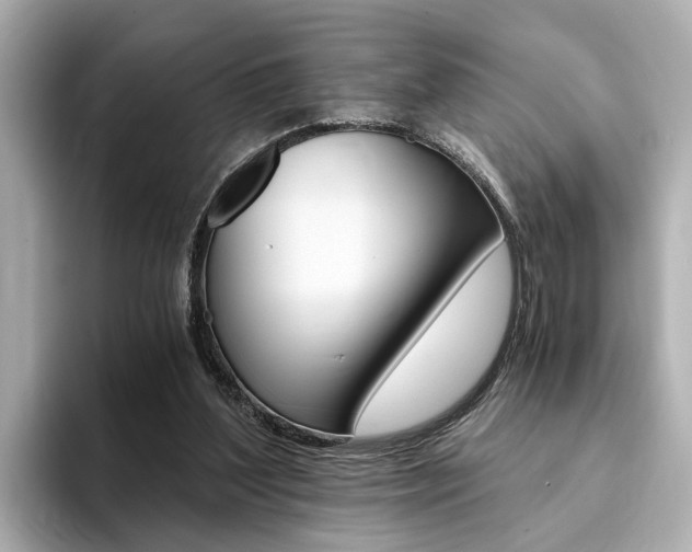 X0000094370204200711020800