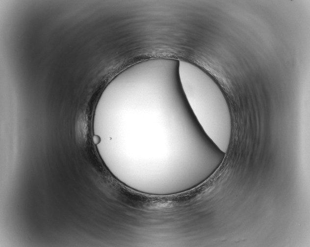 X0000094370206200711020800